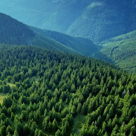 Bouda Klinovka Hotell Špindlerŭv Mlýn