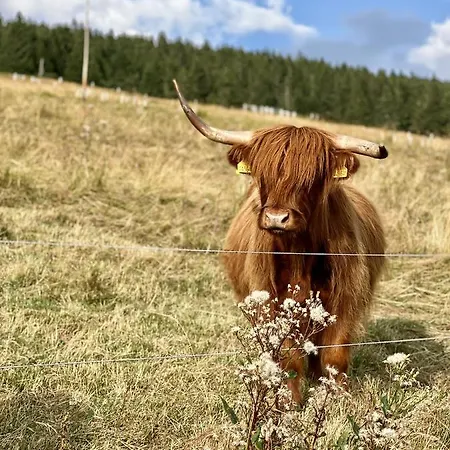 Hotell Bouda Klinovka