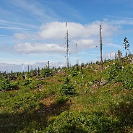 Bouda Klinovka * Špindlerŭv Mlýn