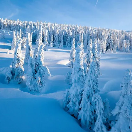 Bouda Klinovka Chalet *