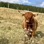 شاليه Bouda Klinovka