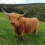 Bouda Klinovka شاليه