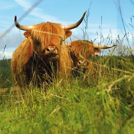 فندق Bouda Klinovka