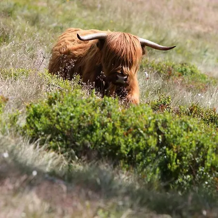Hotel Bouda Klinovka *