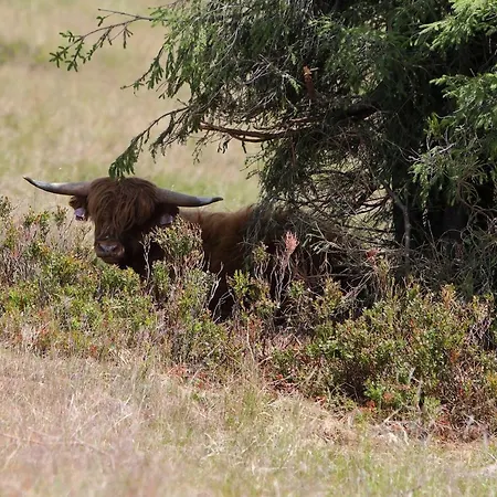 فندق Bouda Klinovka *