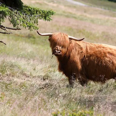 Hotel Bouda Klínovka *