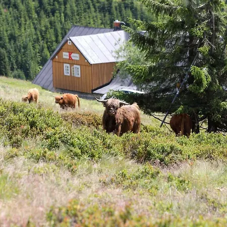 Bouda Klínovka Hotel *