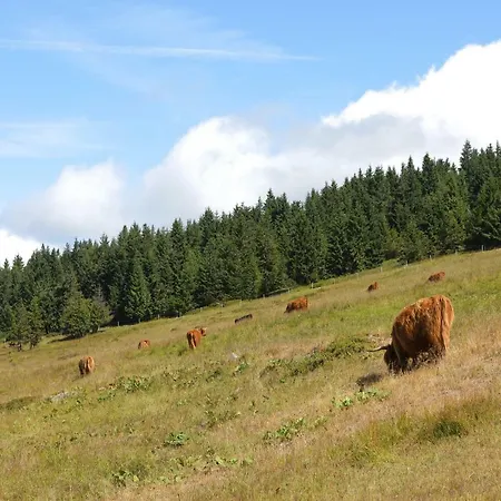 Bouda Klinovka Hotel