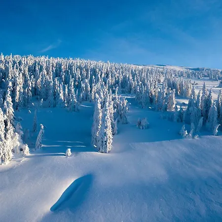 Hotel Bouda Klinovka *