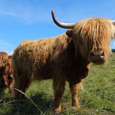 Bouda Klinovka Spindleruv Mlyn