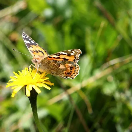 Bouda Klinovka Hotel