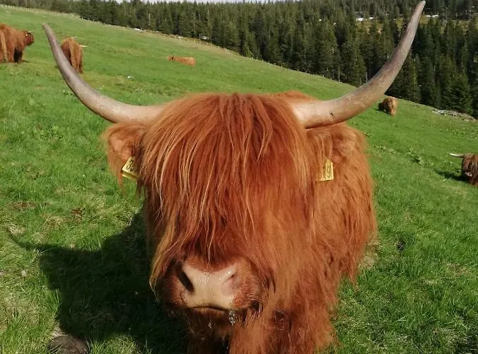 Szálloda Bouda Klinovka