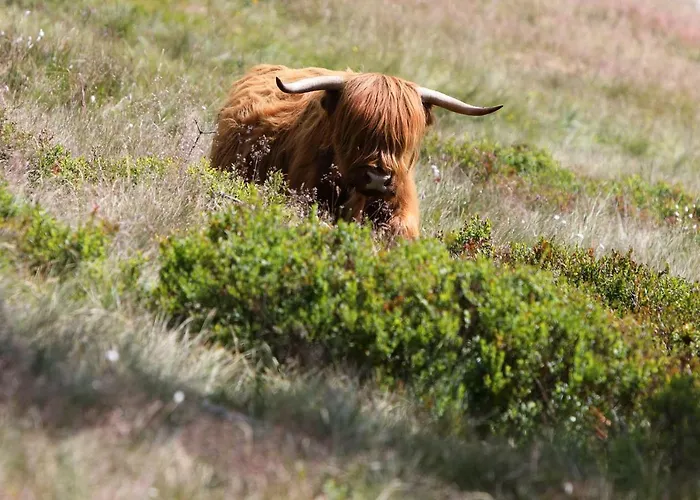 Szálloda Bouda Klinovka *