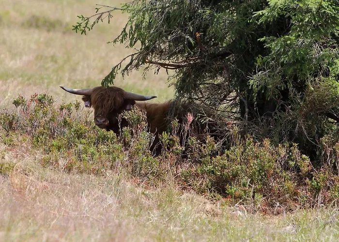 Szálloda Bouda Klinovka *