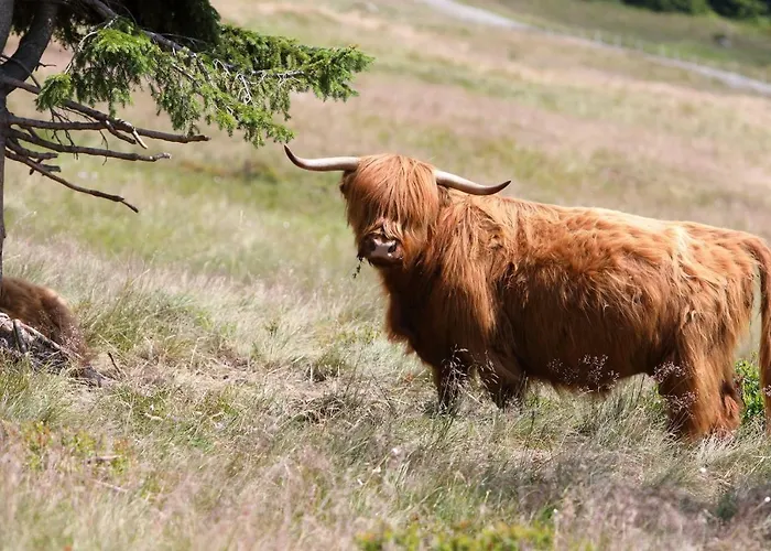 Szálloda Bouda Klinovka *