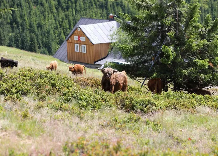 Bouda Klinovka Szálloda *