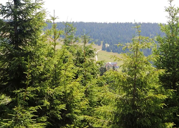 Bouda Klinovka Špindlerŭv Mlýn