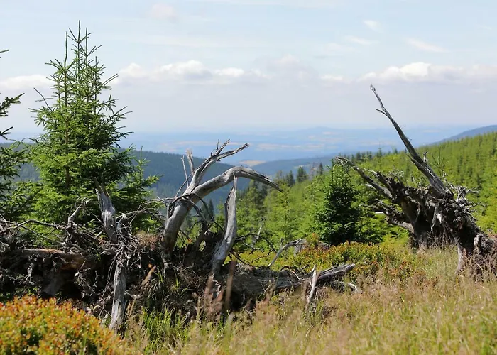 Szálloda Bouda Klinovka *