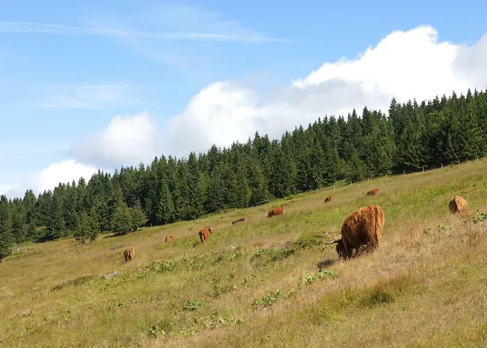 Bouda Klinovka Szálloda
