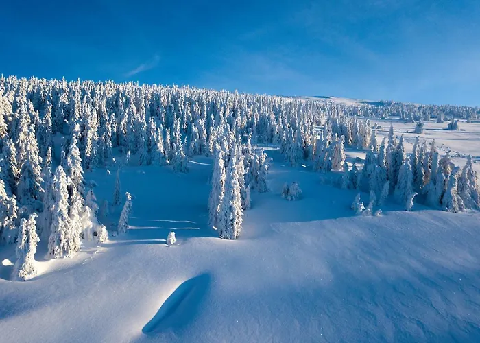Szálloda Bouda Klinovka *
