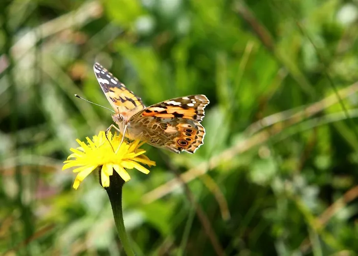 Bouda Klinovka Szálloda